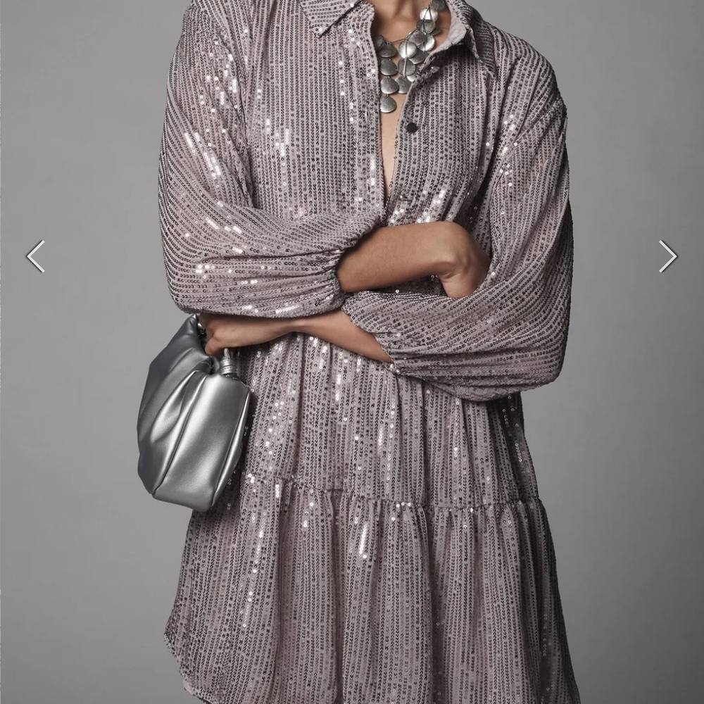 Maeve Shimmering Silver Sequin Dress